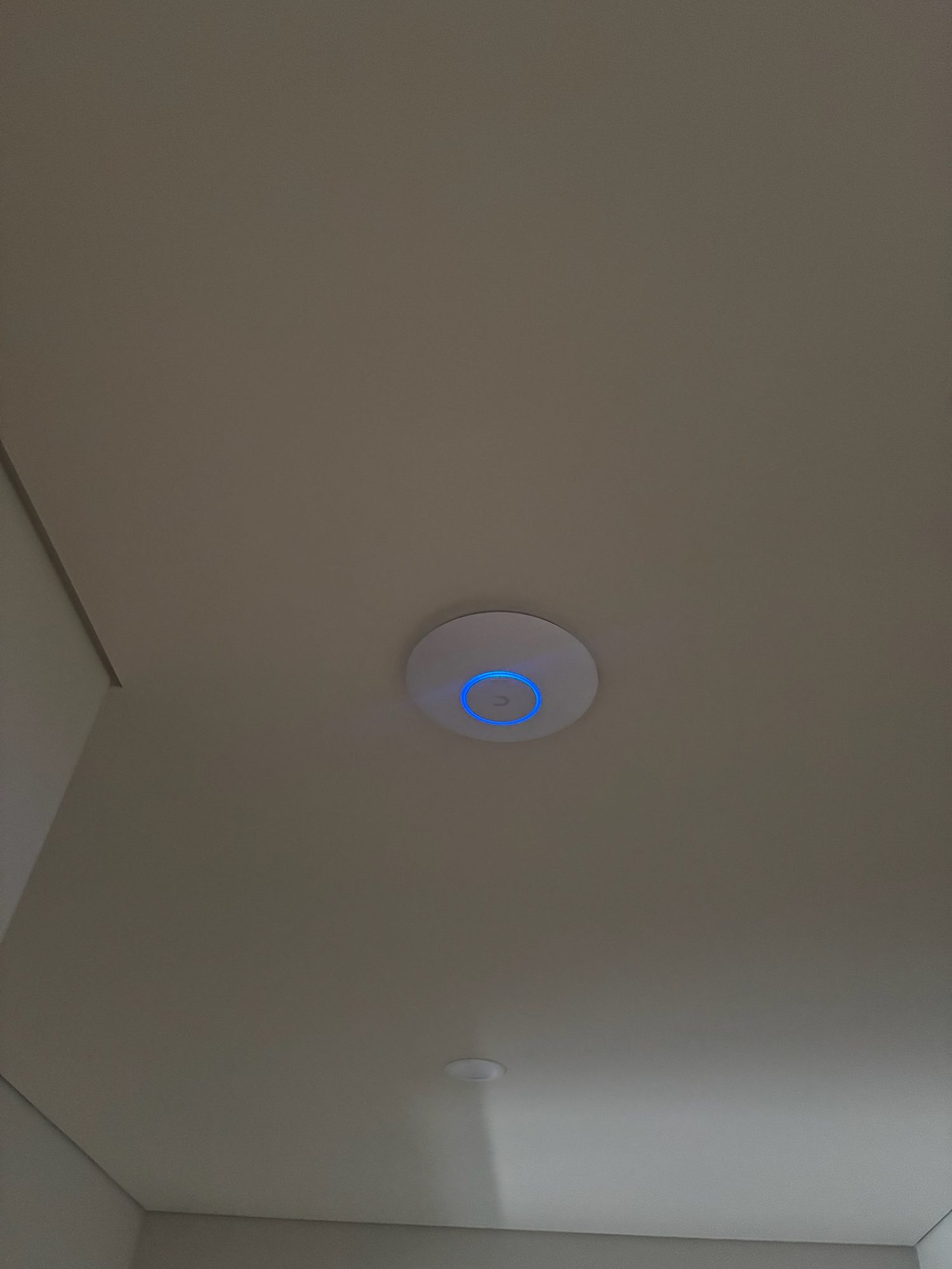 Ceiling access point